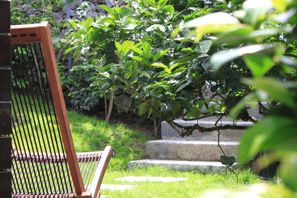 Quinta Das Rosas Villas Рибейра-Гранди Номер фото